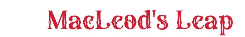 macleods-leap-logo-b