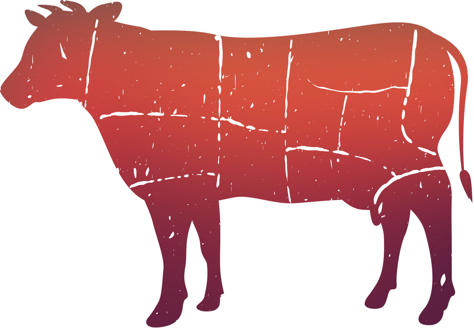 beef-cuts