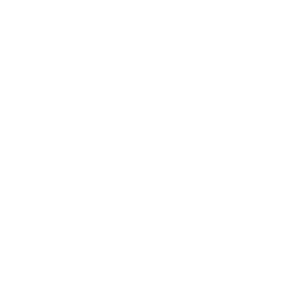 bottom-sirloin