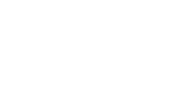 brisket
