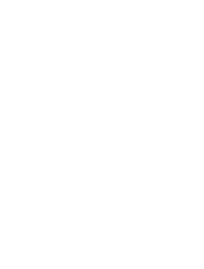 rib-overlay