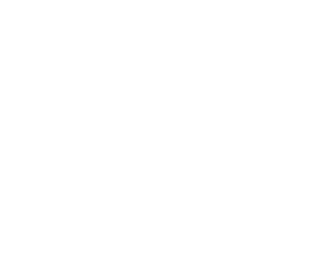 shank